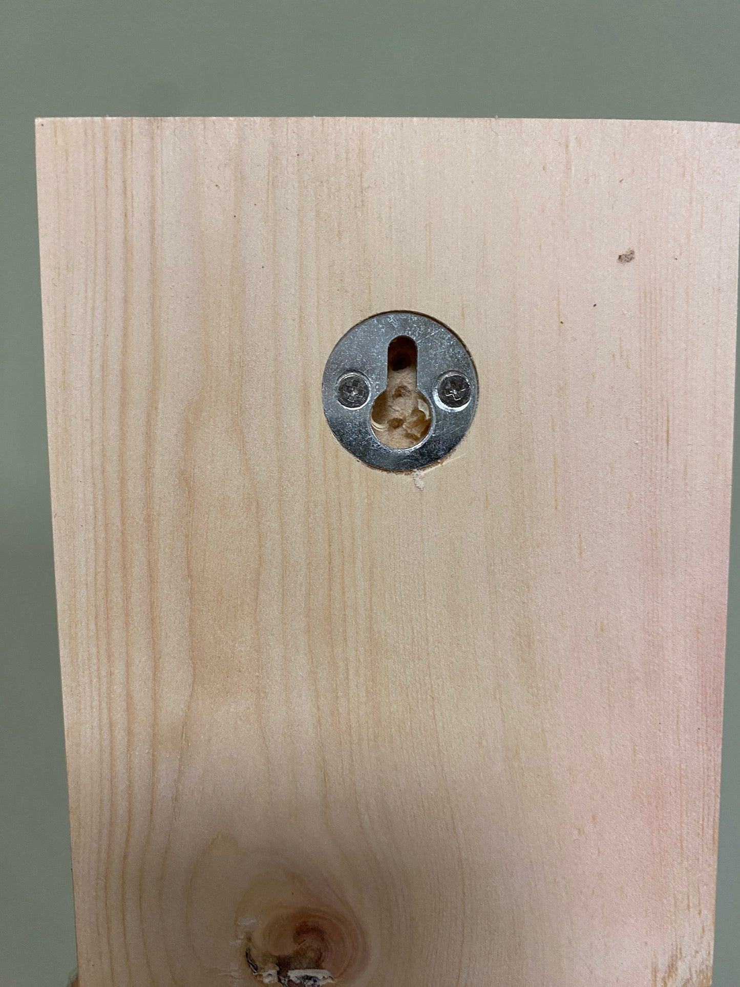 Wandbrett aus Zirbenholz für Trockenblumensträuße 3