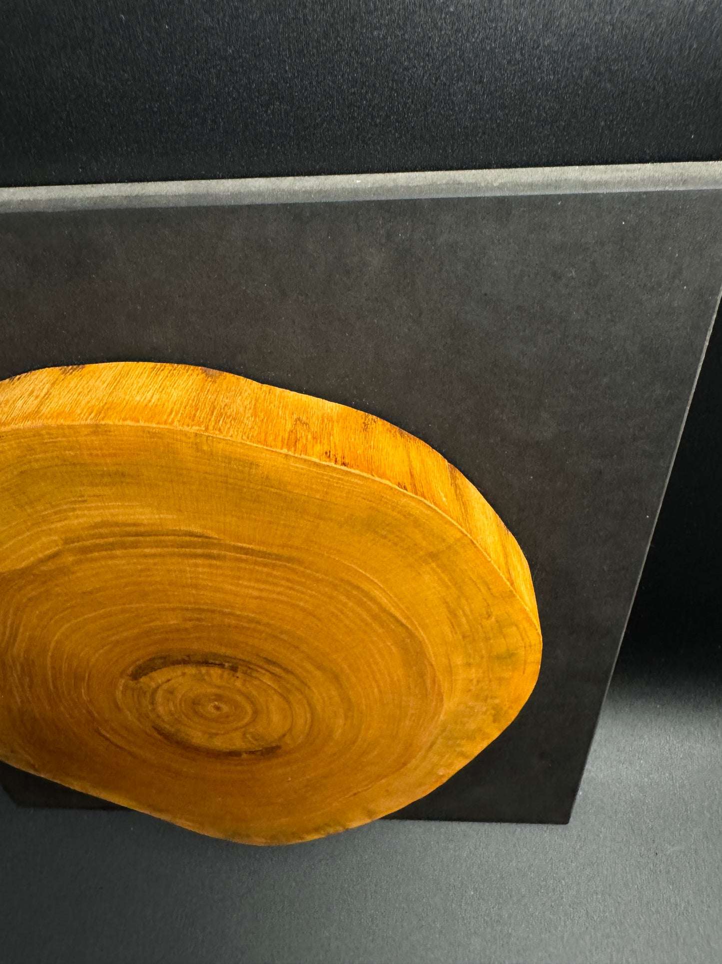 Wandbild einer Baumscheibe 156
