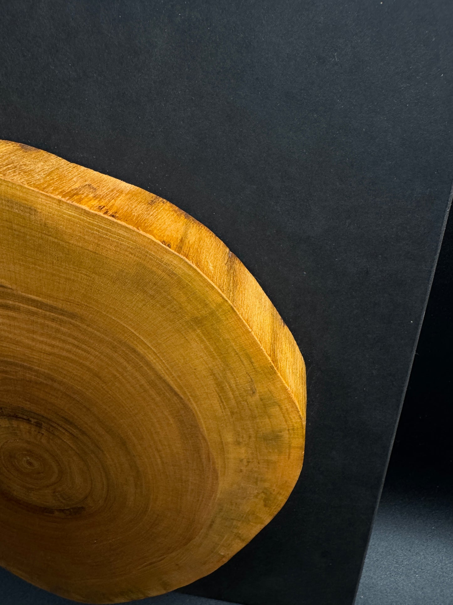 Wandbild einer Baumscheibe 156
