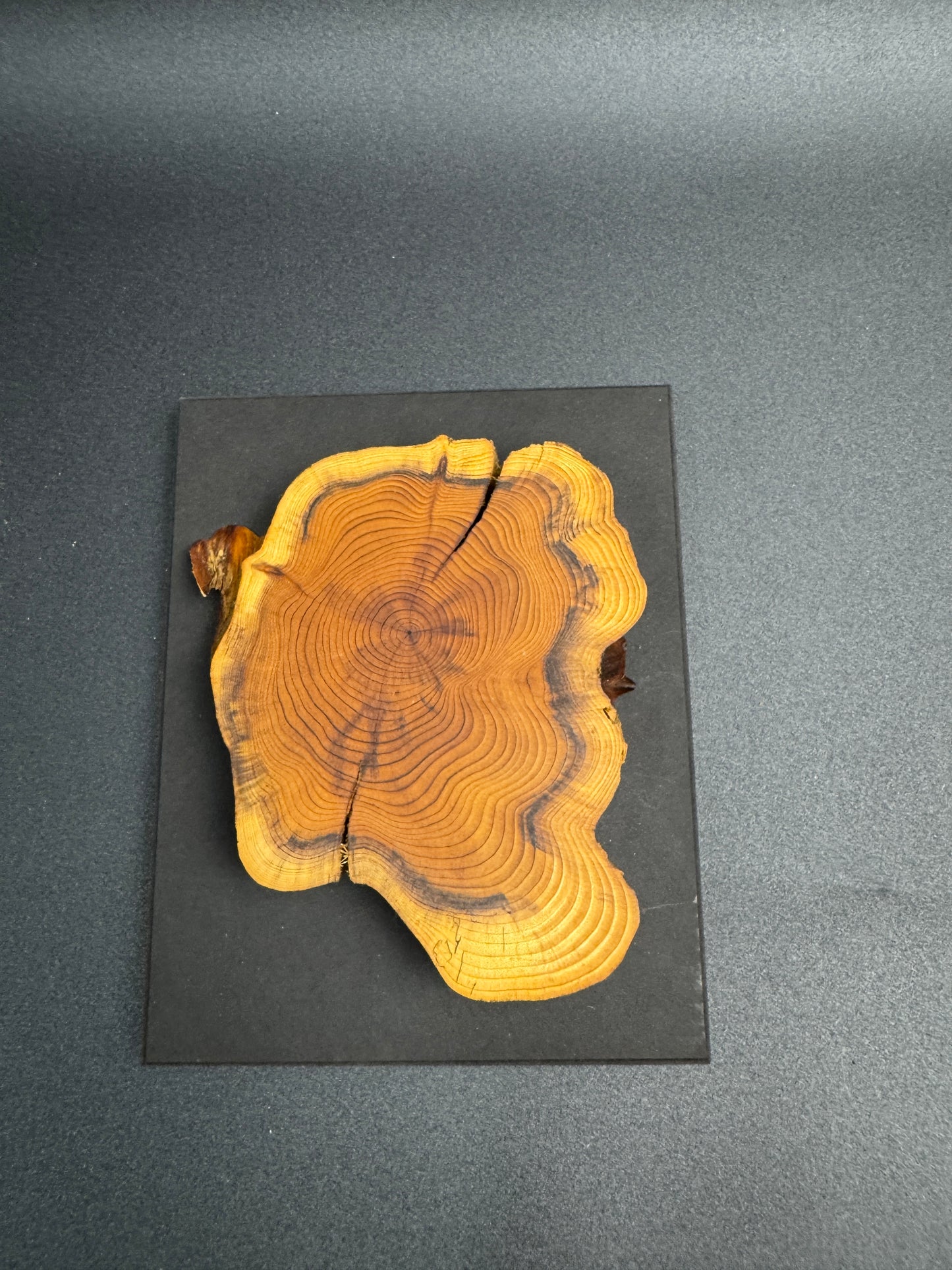 Messer oder Schlüsselleiste zur Wandbefestigung Nr. 137
