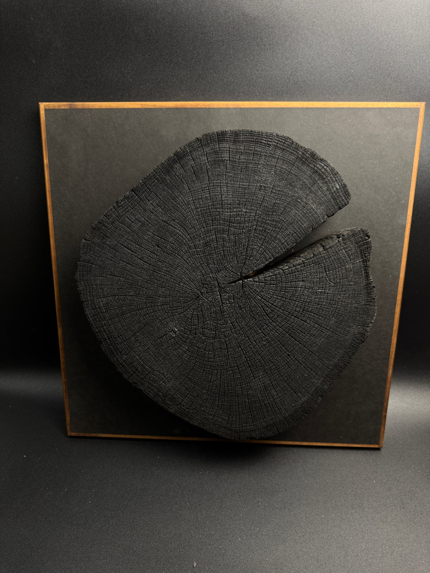Wandbild einer Baumscheibe 155